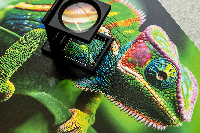 Close-up of a colorful chameleon on RubyPaper sample sheets with a linen tester